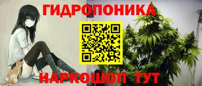 каннабис Донской